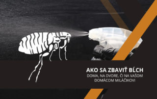 ako sa zbaviť blch v posteli, doma či na dvore